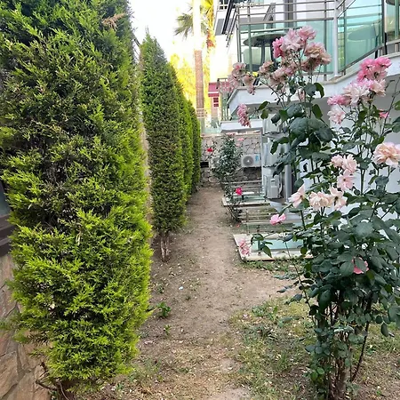 מלון Park