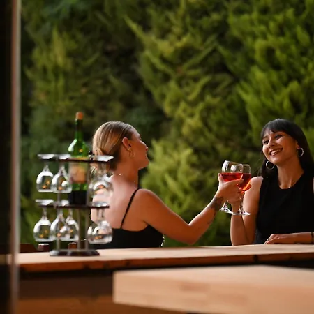 ホテル Fethiye Park Hotel フェティエ