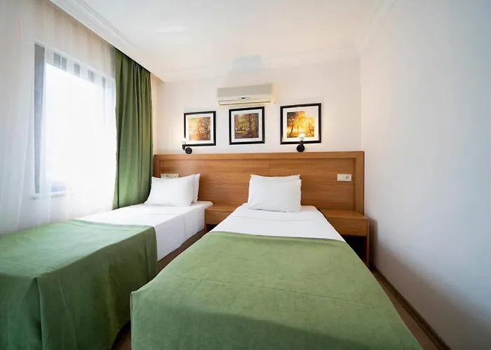 ホテル Fethiye Park Hotel フェティエ