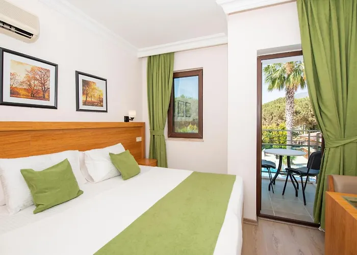 ホテル Fethiye Park Hotel 3*