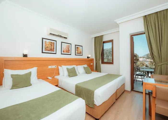 Fethiye Park Hotel ホテル 3*