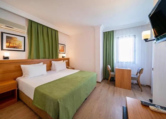 ホテル Fethiye Park Hotel 3*